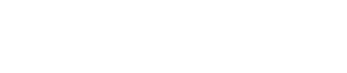 Web Project Team