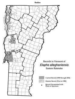 Distribution of E. alleghaniensis (now Pantherophis alleghaniensis) in Vermont