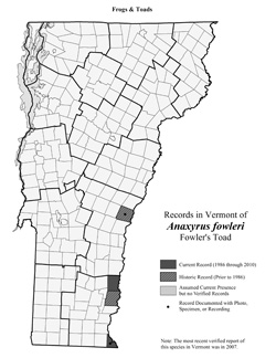 Distribution of  Anaxyrus (formerly Bufo) fowleri in Vermont