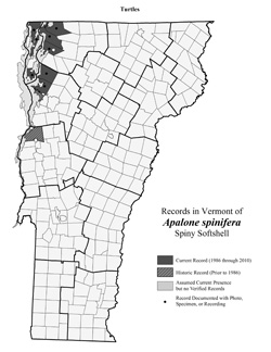 Distribution of A. spinifera in Vermont