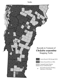Distribution of C. serpentina in Vermont