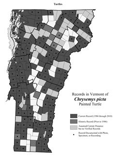 Distribution of C. picta in Vermont