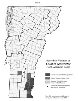 Distribution of C. coluber in Vermont