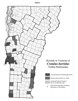 Distribution of C. horridus in Vermont