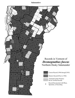 Distribution of Desmognathus fuscus in Vermont