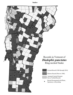 Distribution of D. punctatus in Vermont