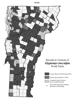 Distribution of G. inscultpa in Vermont