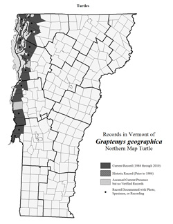 Distribution of G. geographica in Vermont