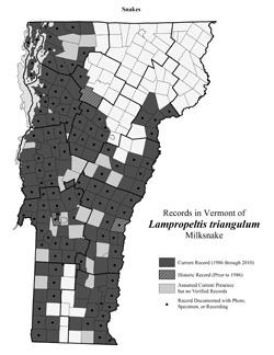 Distribution of L. triangulum in Vermont