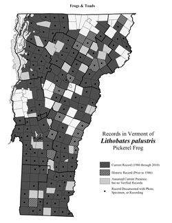 Distribution of Lithobates (formerly Rana) palustris in Vermont