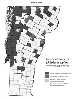 Distribution of Lithobates (formerly Rana) pipiens in Vermont