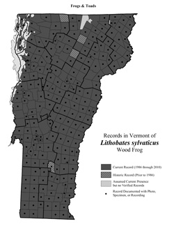 Distribution of Lithobates sylvaticus (formerly Rana sylvatica) in Vermont