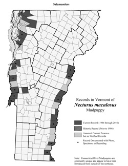 Distribution of Necturus maculosus in Vermont