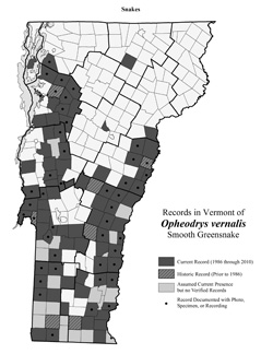 Distribution of O. vernalis in Vermont