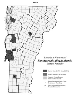 Distribution of P. alleghaniensis (previously Elaphe alleghaniensis) in Vermont