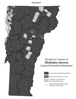 Distribution of Plethodon cinereus in Vermont