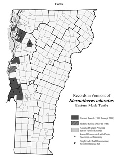 Distribution of S. odoratus in Vermont