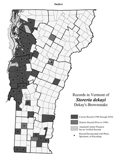 Distribution of S. dekayi in Vermont