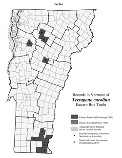 Distribution of T. carolina in Vermont