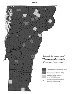Distribution of T. sirtalis in Vermont