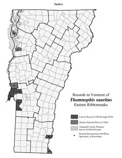 Distribution of T. sauritus in Vermont