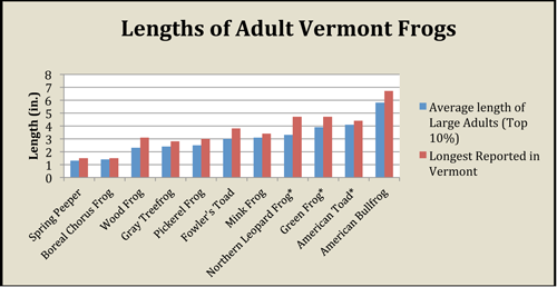 Vermont's Longest Frogs