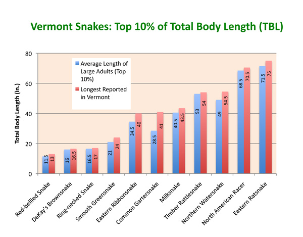 Vermont's Longest Snakes