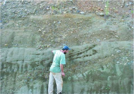 Early Holocene fluvial sediments and soil profile, Esterillos, Costa Rica

